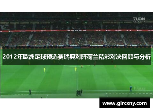 2012年欧洲足球预选赛瑞典对阵荷兰精彩对决回顾与分析
